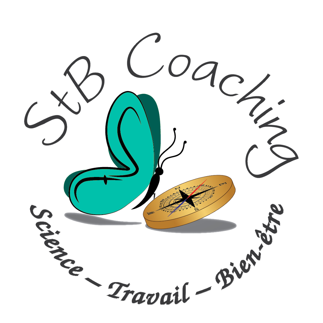 StB Coaching